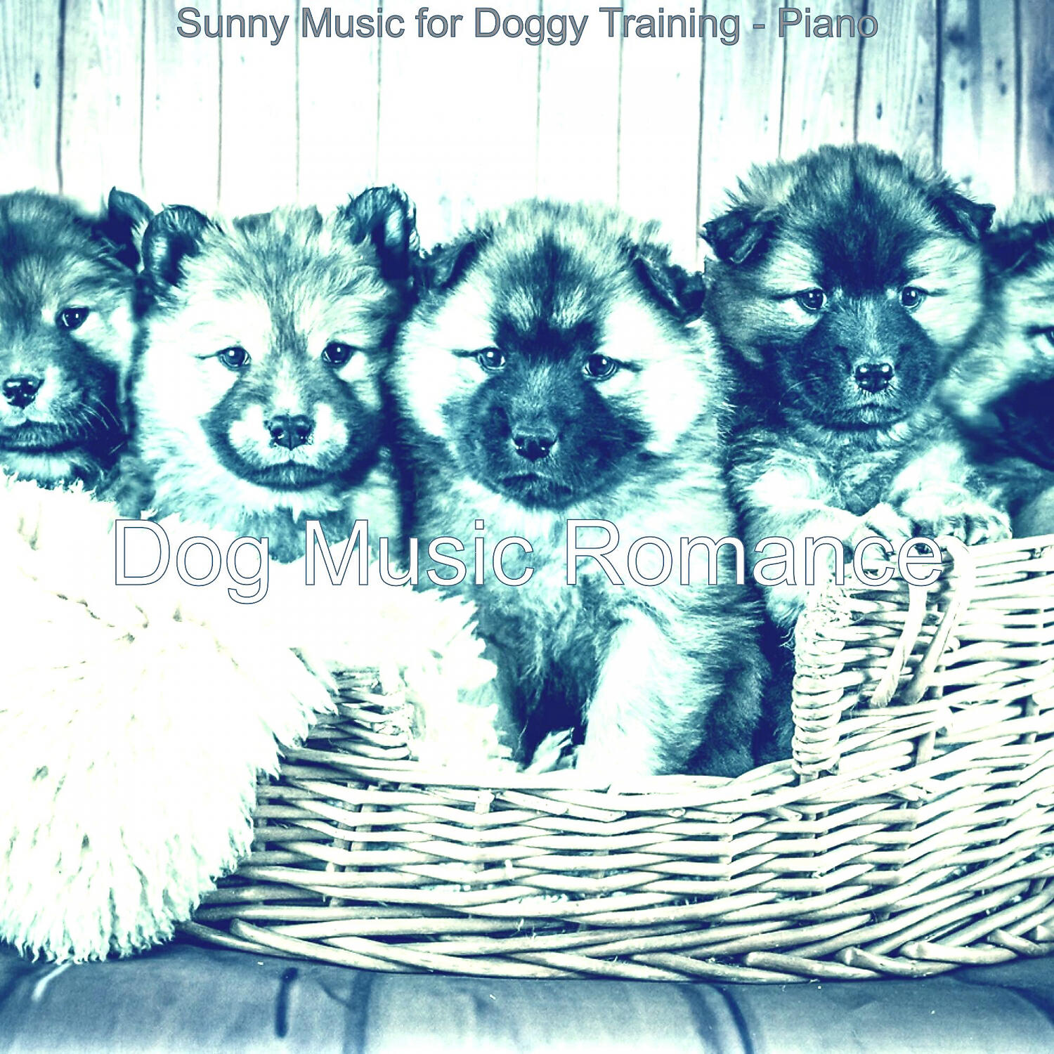Dog Music Romance - Wicked Solo Piano Jazz - Vibe for Reducing Dog Stress