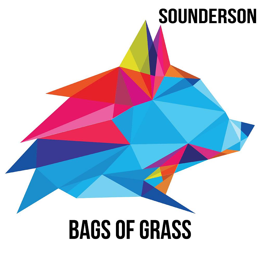 Постер альбома Bags Of Grass