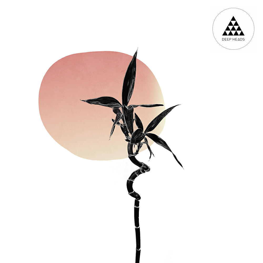 Zeb Samuels - Positive Spirit (Original Mix)