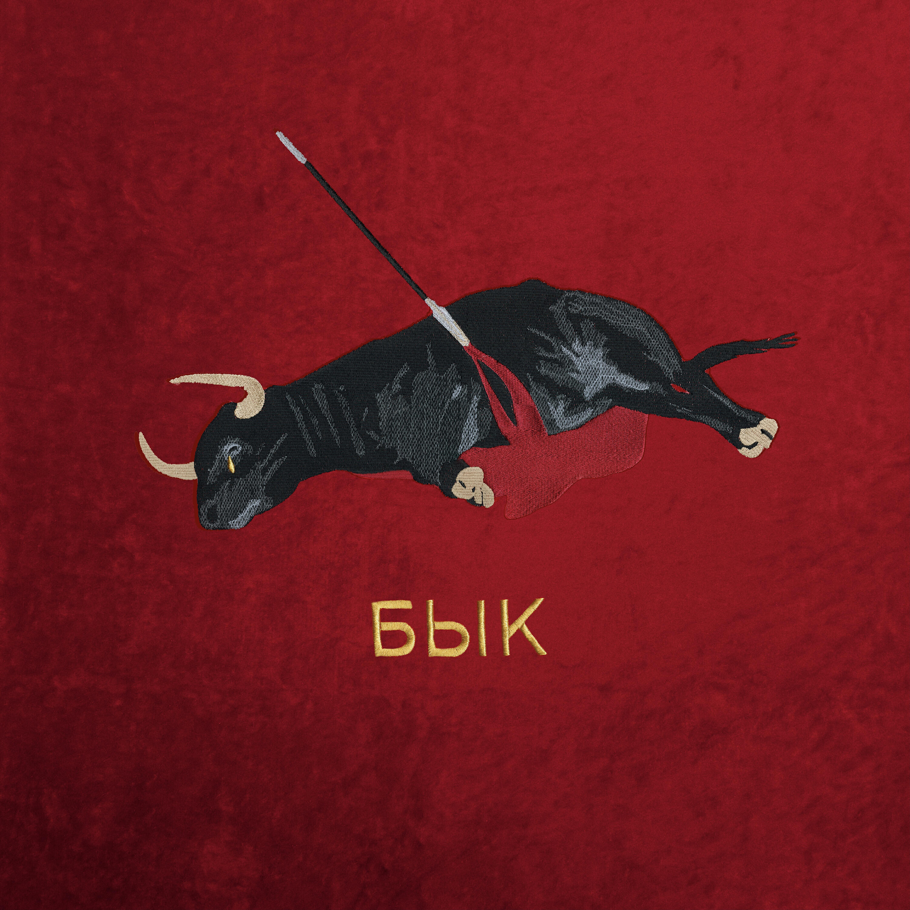 тима ищет свет - бык