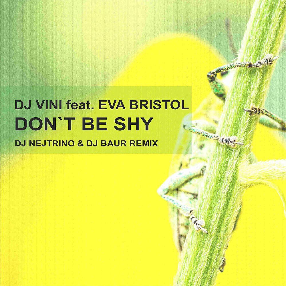 DJ Vini - Don't Be Shy (DJ Nejtrino & DJ Baur Remix)