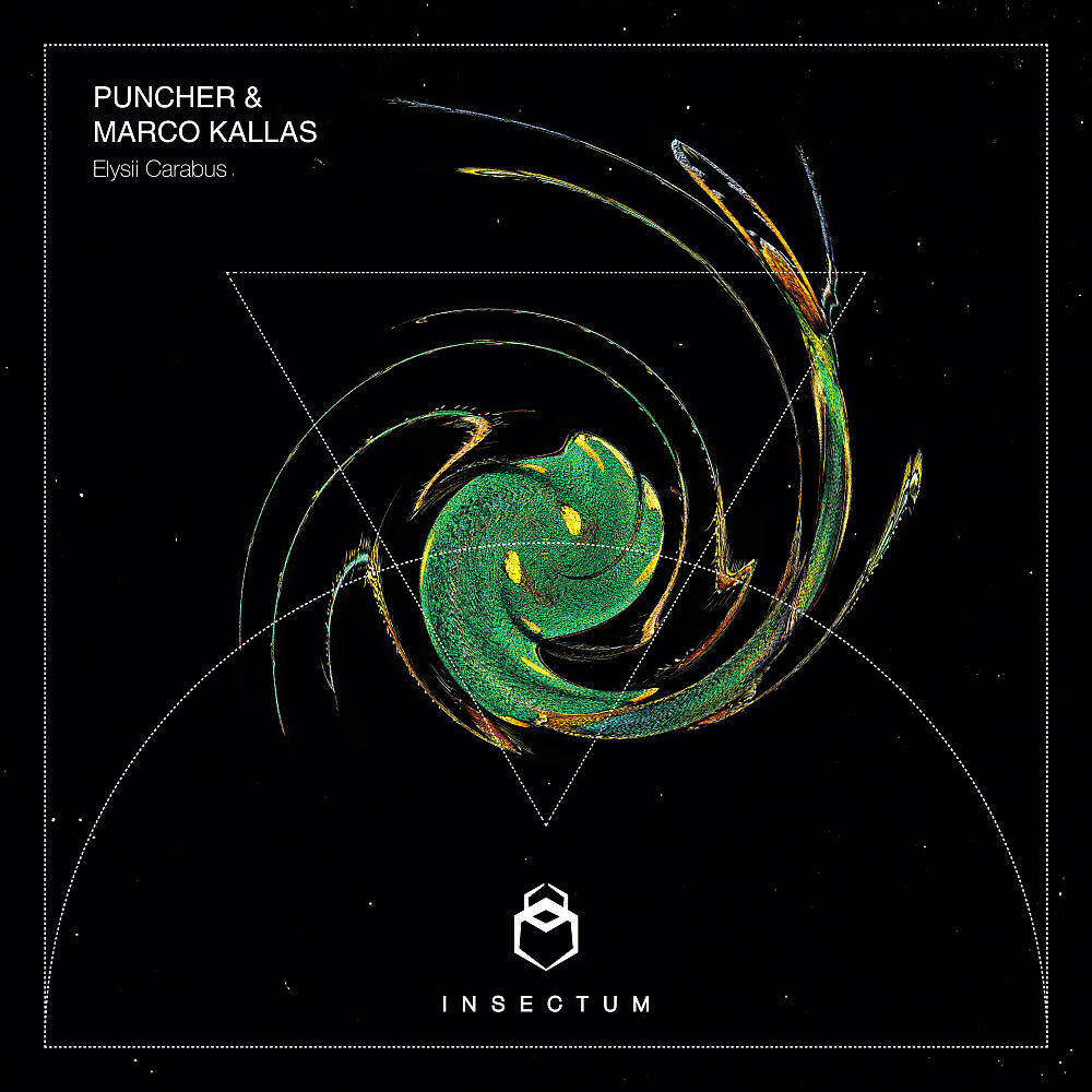 Puncher - Illinois (Original Mix)