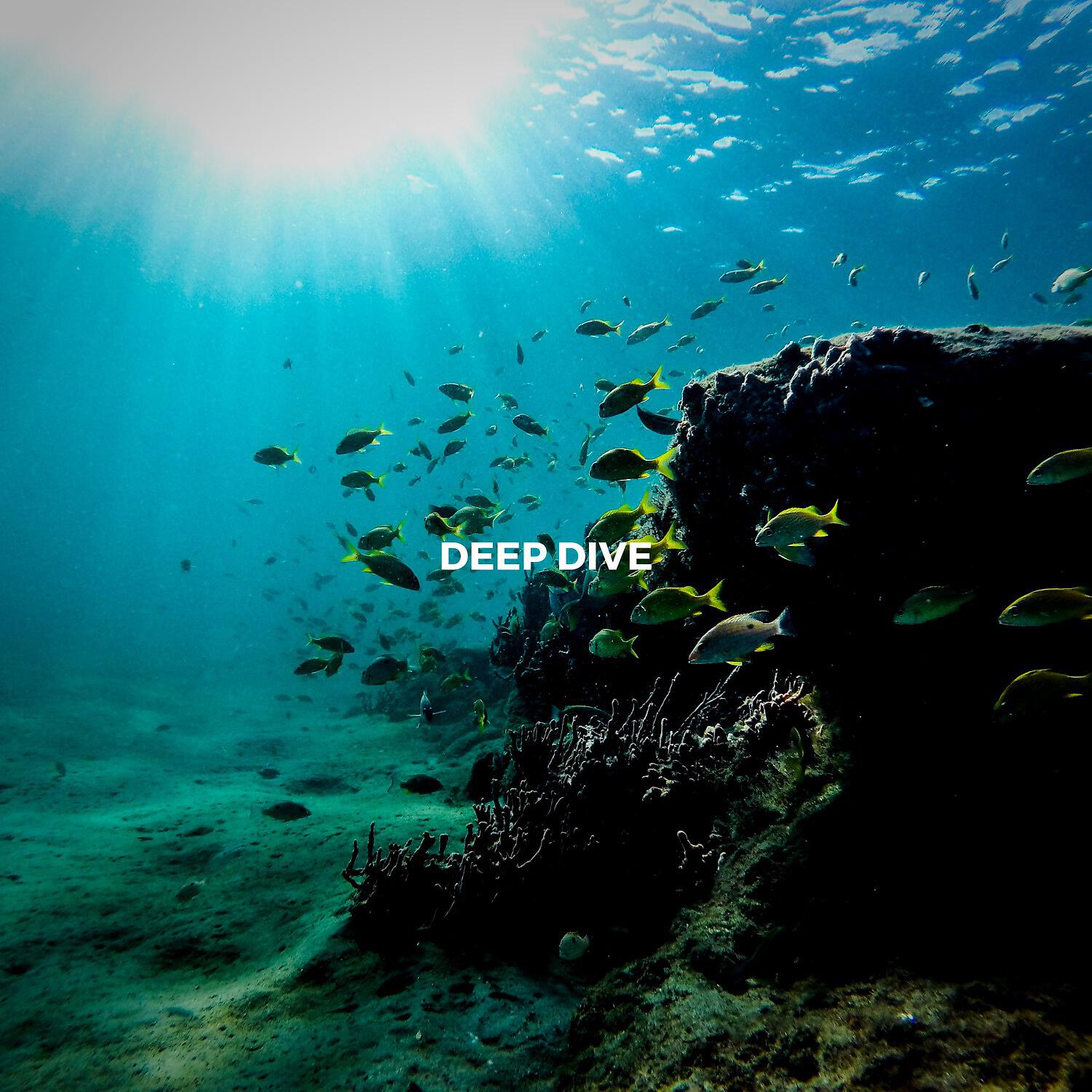 Chopenn - Deep Dive