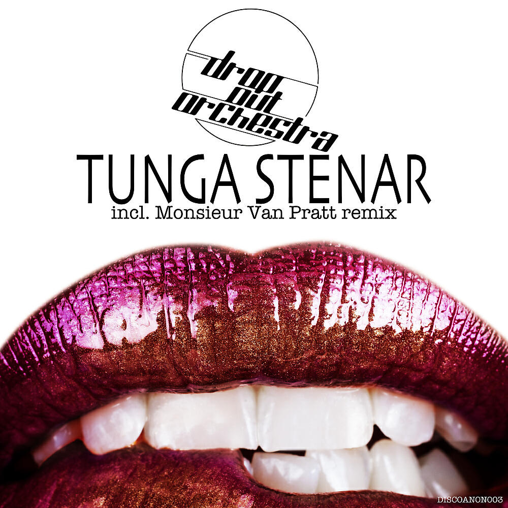 Drop Out Orchestra - Tunga Stenar (Monsieur Van Pratt Remix)