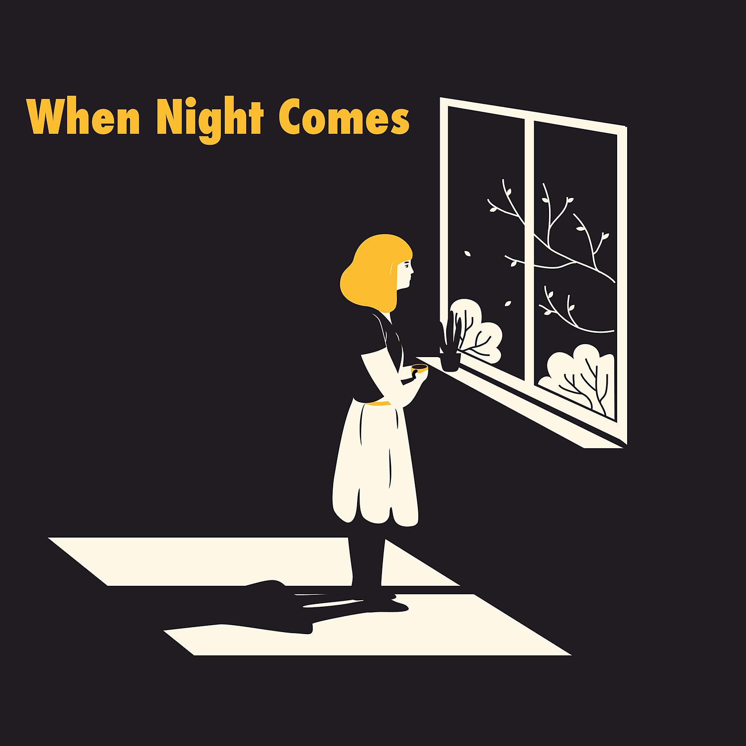 Постер альбома When Night Comes