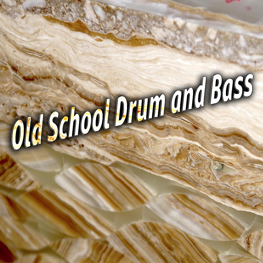 Постер альбома Old School Drum and Bass