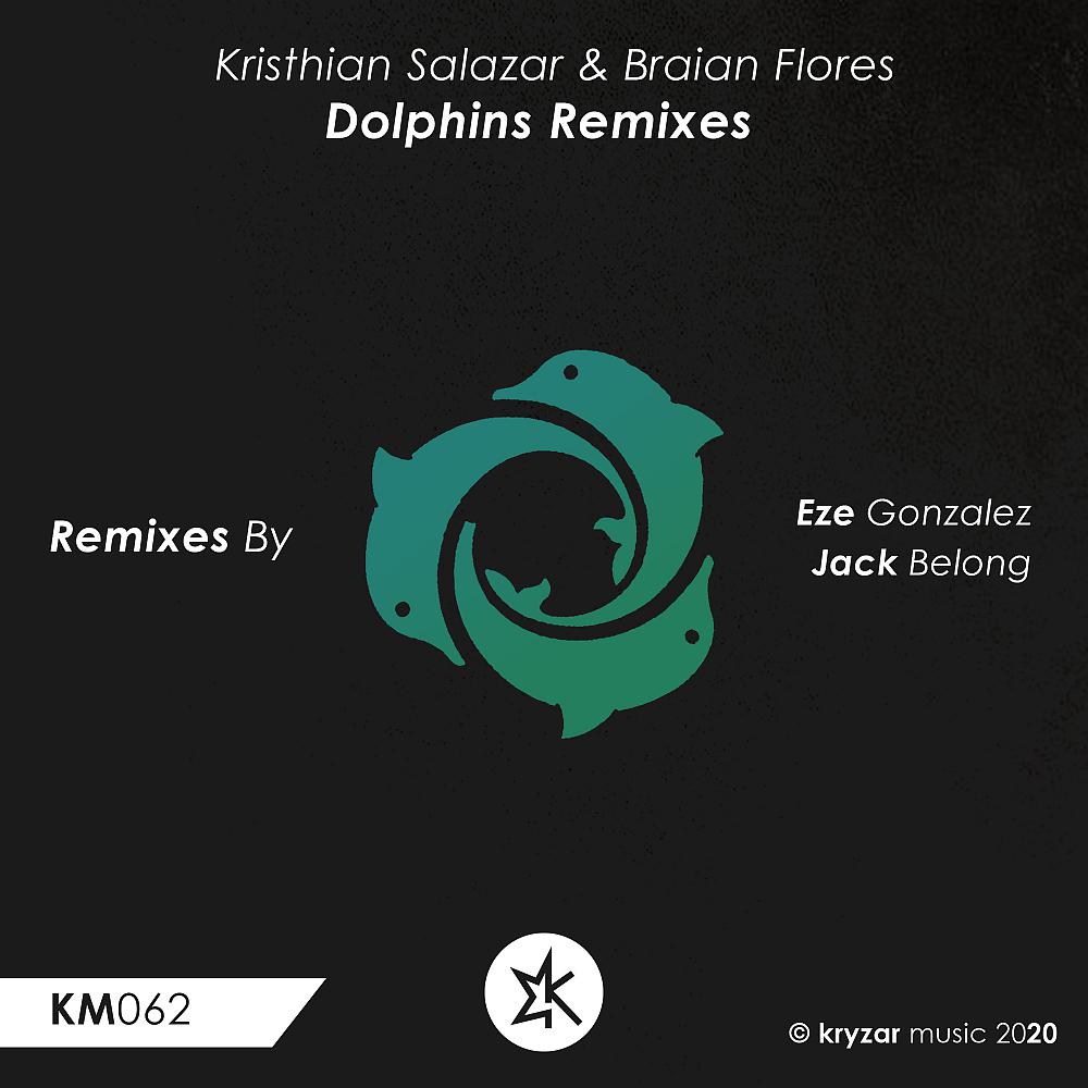 Постер альбома Dolphins Remixes