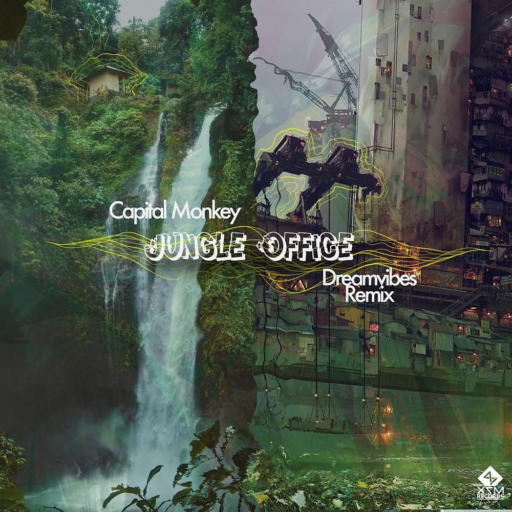 Постер альбома Jungle Office Remix