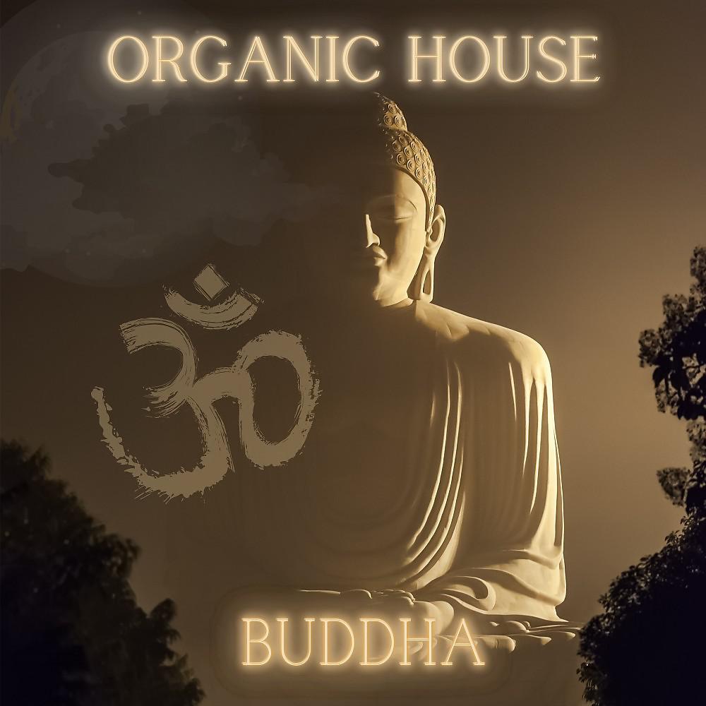 Постер альбома Organic House - Buddha
