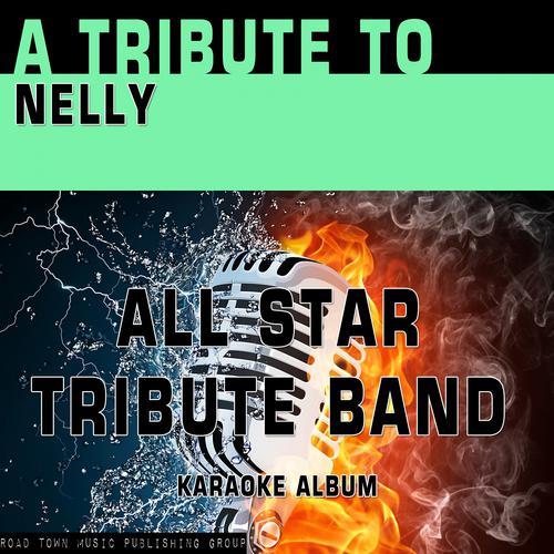 Постер альбома A Tribute to Nelly (Karaoke Version)