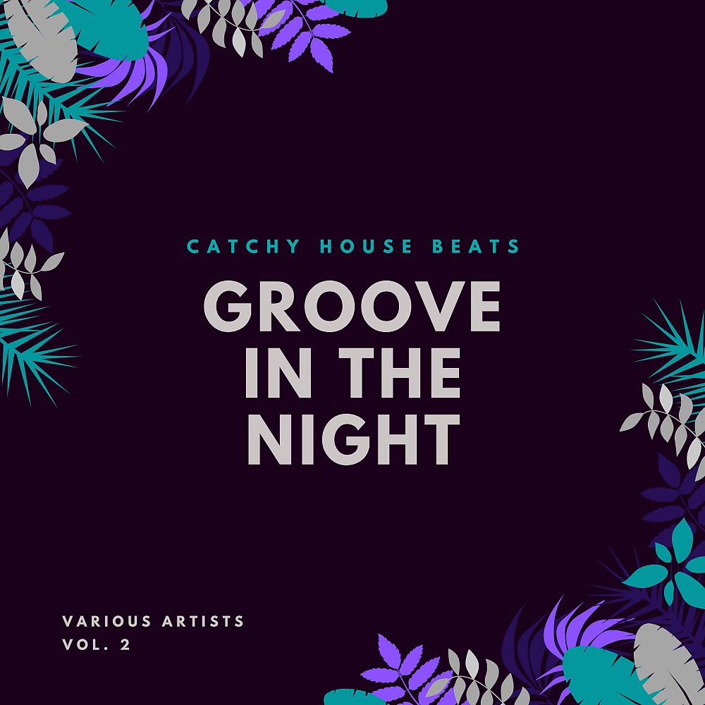 Постер альбома Groove In The Night (Catchy House Beats), Vol. 2