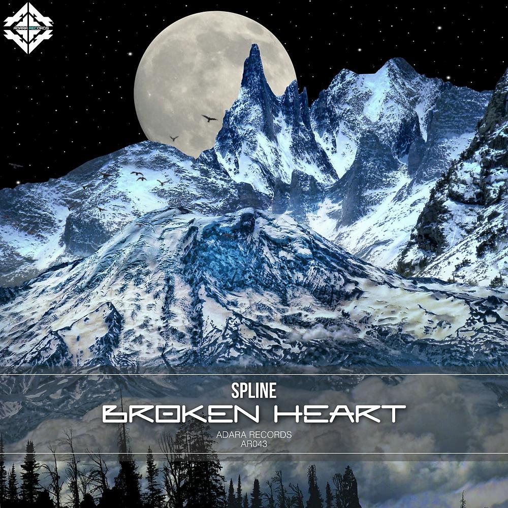 Постер альбома Broken Heart