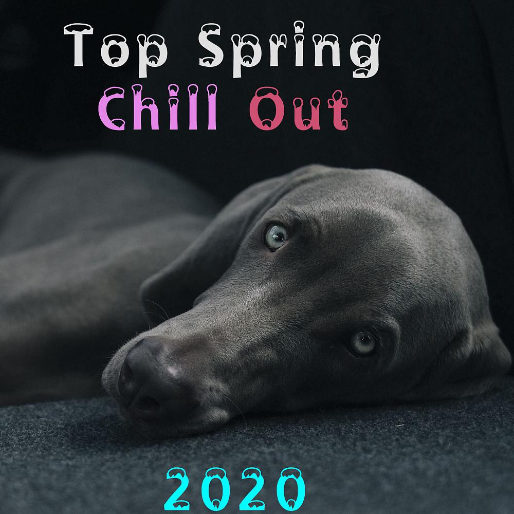 Постер альбома Top Spring Chill Out 2020