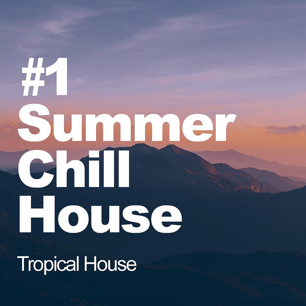 Постер альбома #1 Summer Chill House