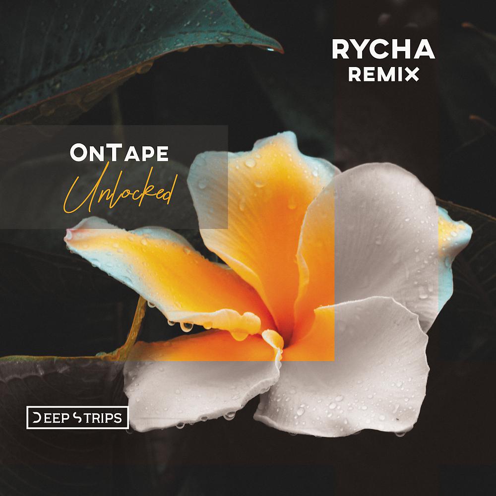 Постер альбома Unlocked (Rycha Remix)