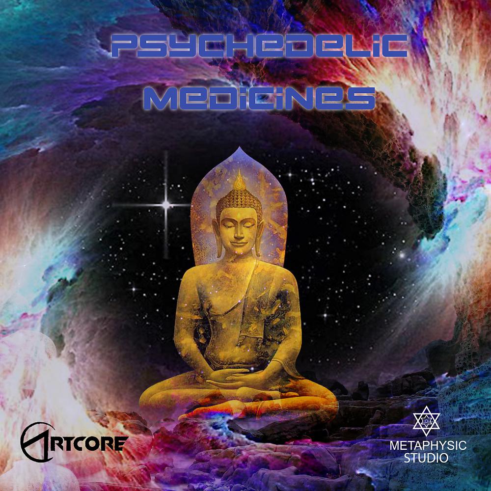 Постер альбома Psychedelic Medicines