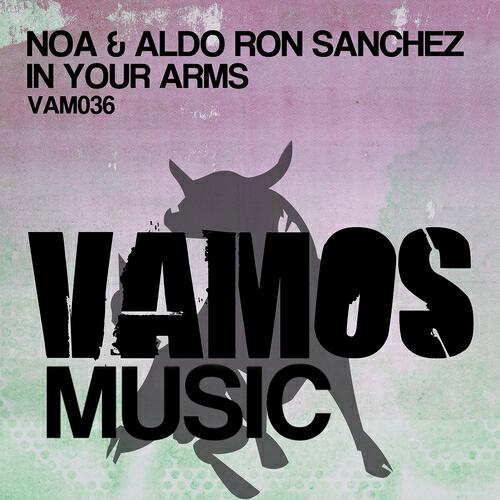 NOA - In Your Arms (DJ Soulstar Remix)