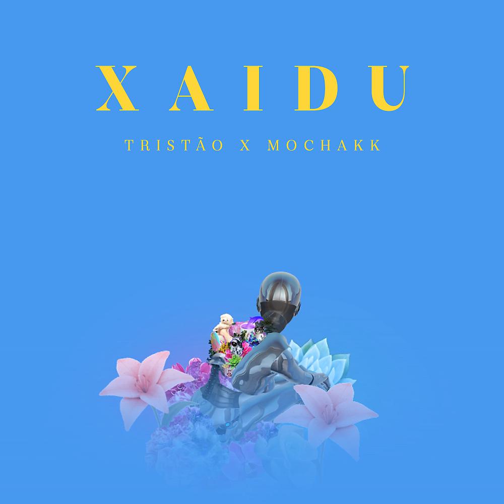 Постер альбома Xaidu