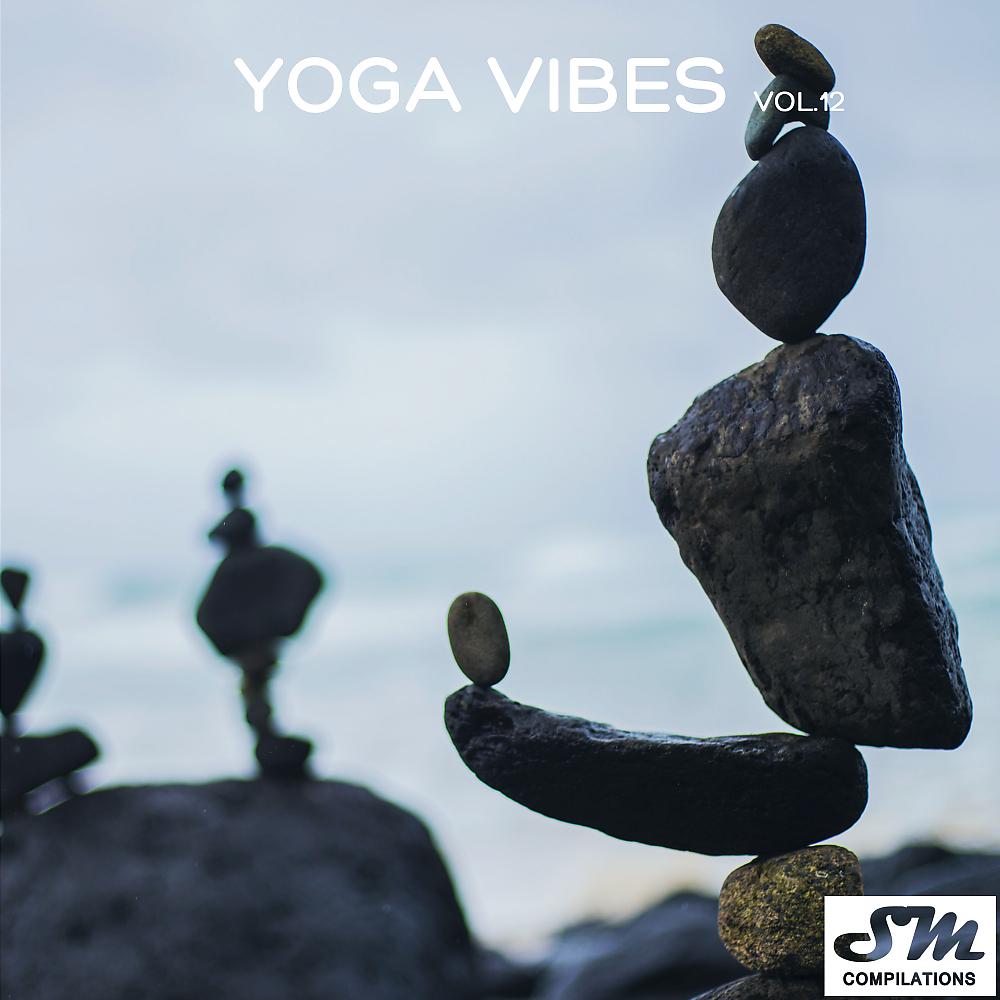 Постер альбома Yoga Vibes, Vol. 12