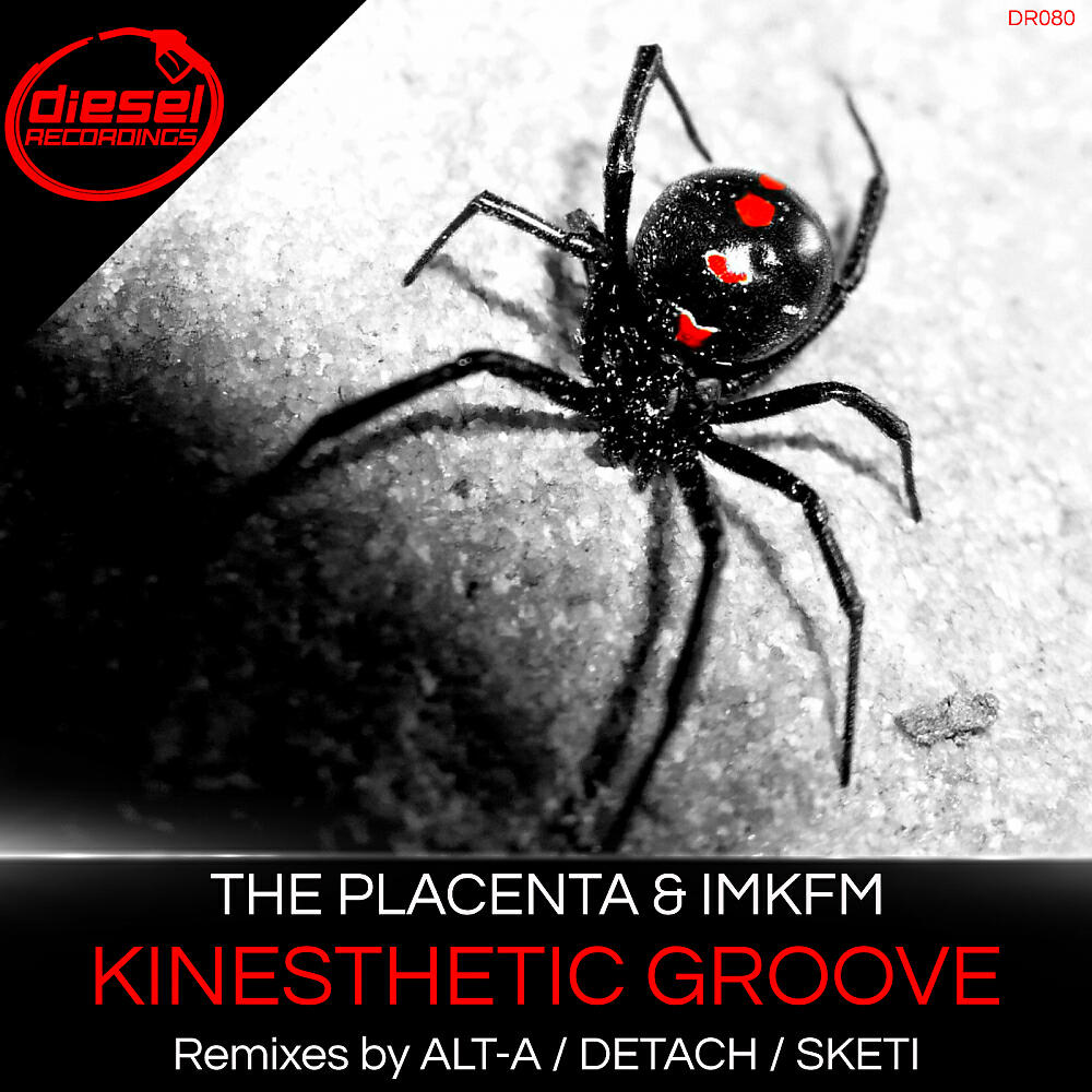 The Placenta - Kinesthetic Groove (Detach Remix)