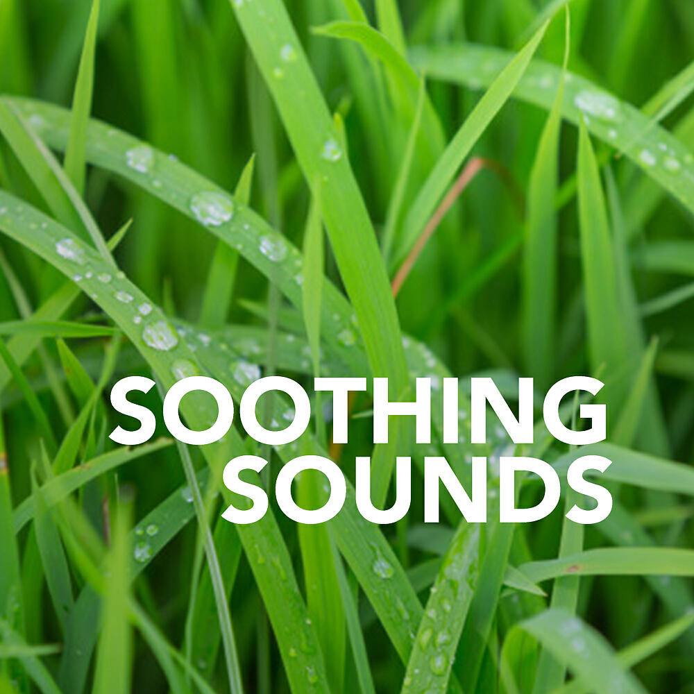 Soothing Sounds - Thunder Storm (No Audio Fades) (Original Mix)