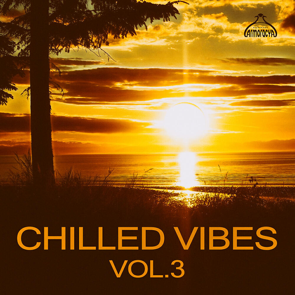 Yorekbirn - Shakedown (Radio Edit)