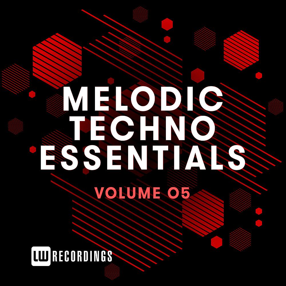 Постер альбома Melodic Techno Essentials, Vol. 05