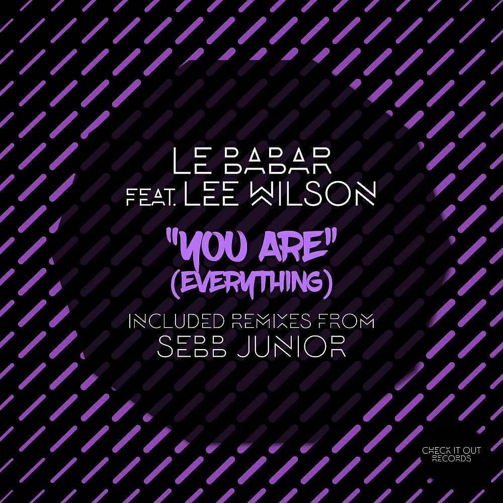 Le Babar - You Are (Everything) (Part 2) (Sebb Junior Radio Instrumental)