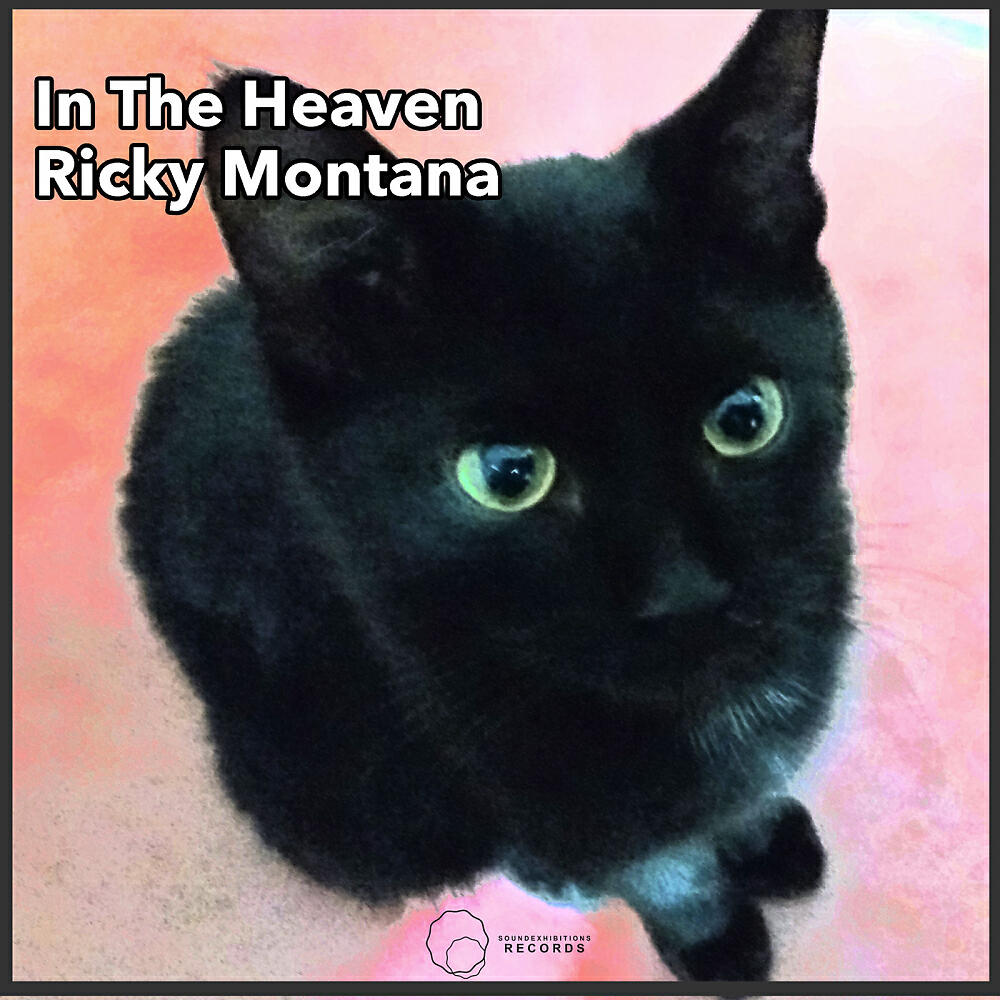Ricky Montana - In The Heaven (Lego Edit Reprice)