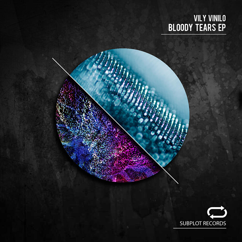 Vily Vinilo - Hidden Moon (Original Mix)
