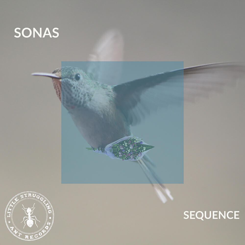 SONAS - Influence (Original Mix)