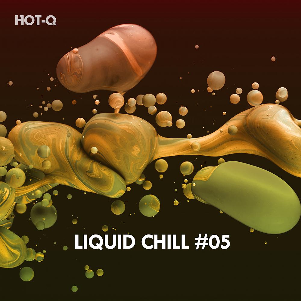 Постер альбома Liquid Chill, Vol. 05