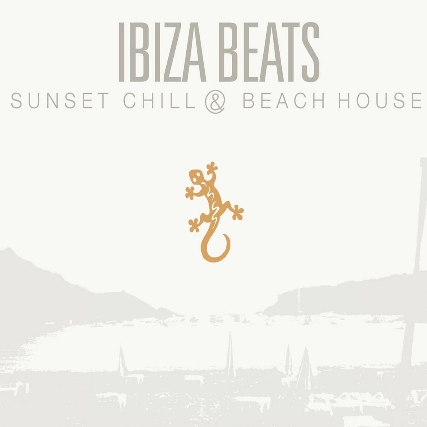 Постер альбома Ibiza Beats, Vol. 1