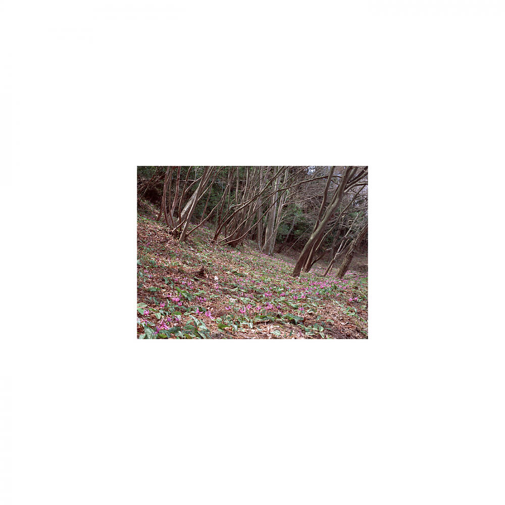 Mindfulness Healing BGM Project - Hyperbolic Curve & Bgm (Original Mix)