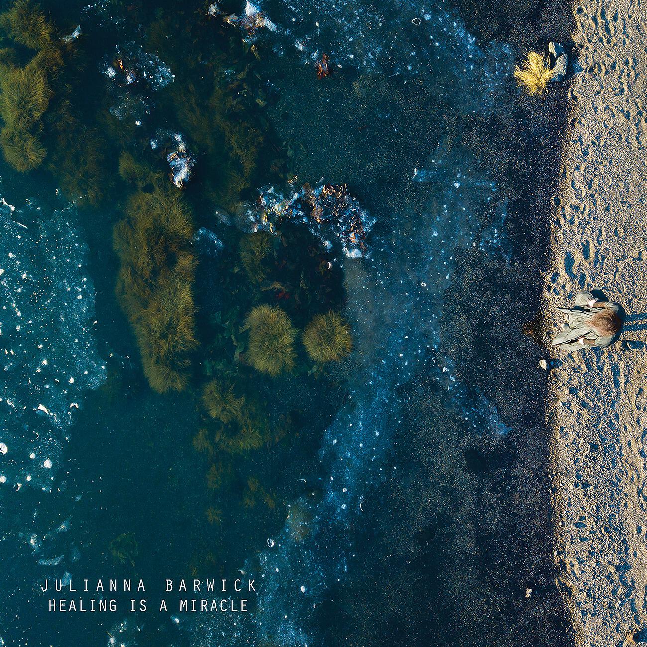 Julianna Barwick - Flowers
