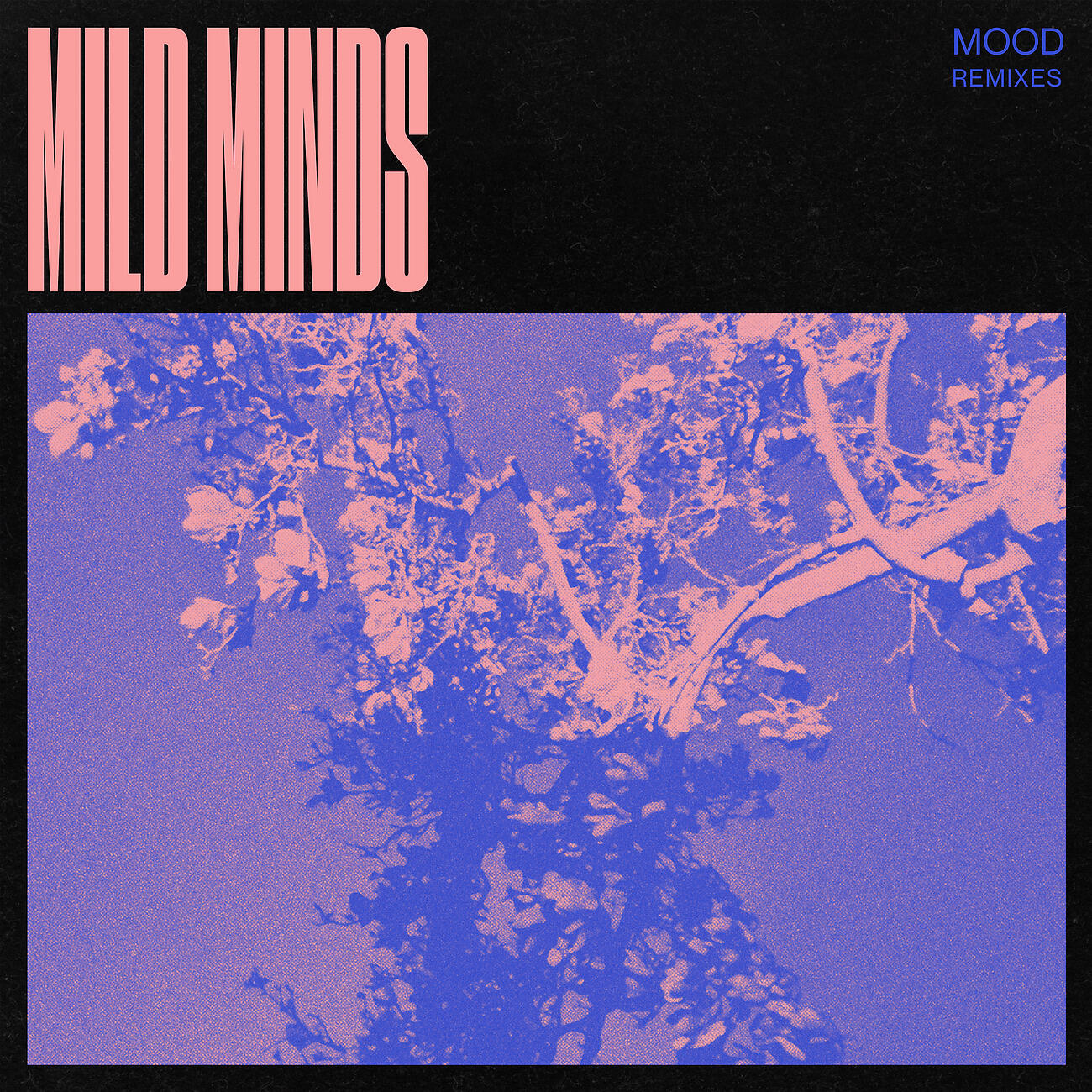Mild Minds - EMBRACER (The Kite String Tangle Remix)