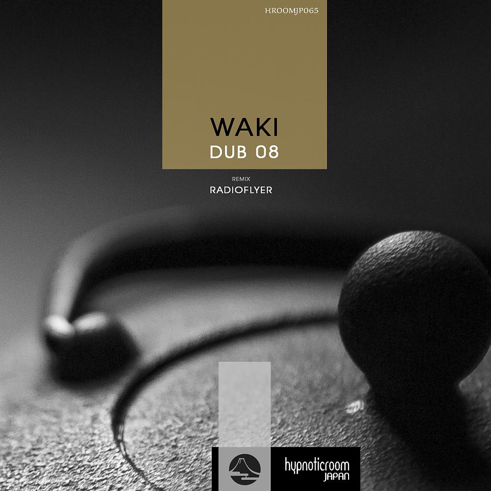 Постер альбома Dub 08
