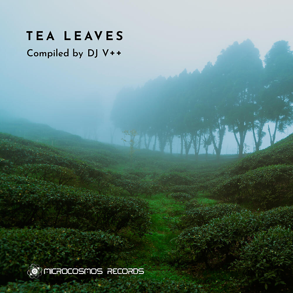 VARIOUS ARTISTS - Tea Leaves (Continuous DJ Mix)