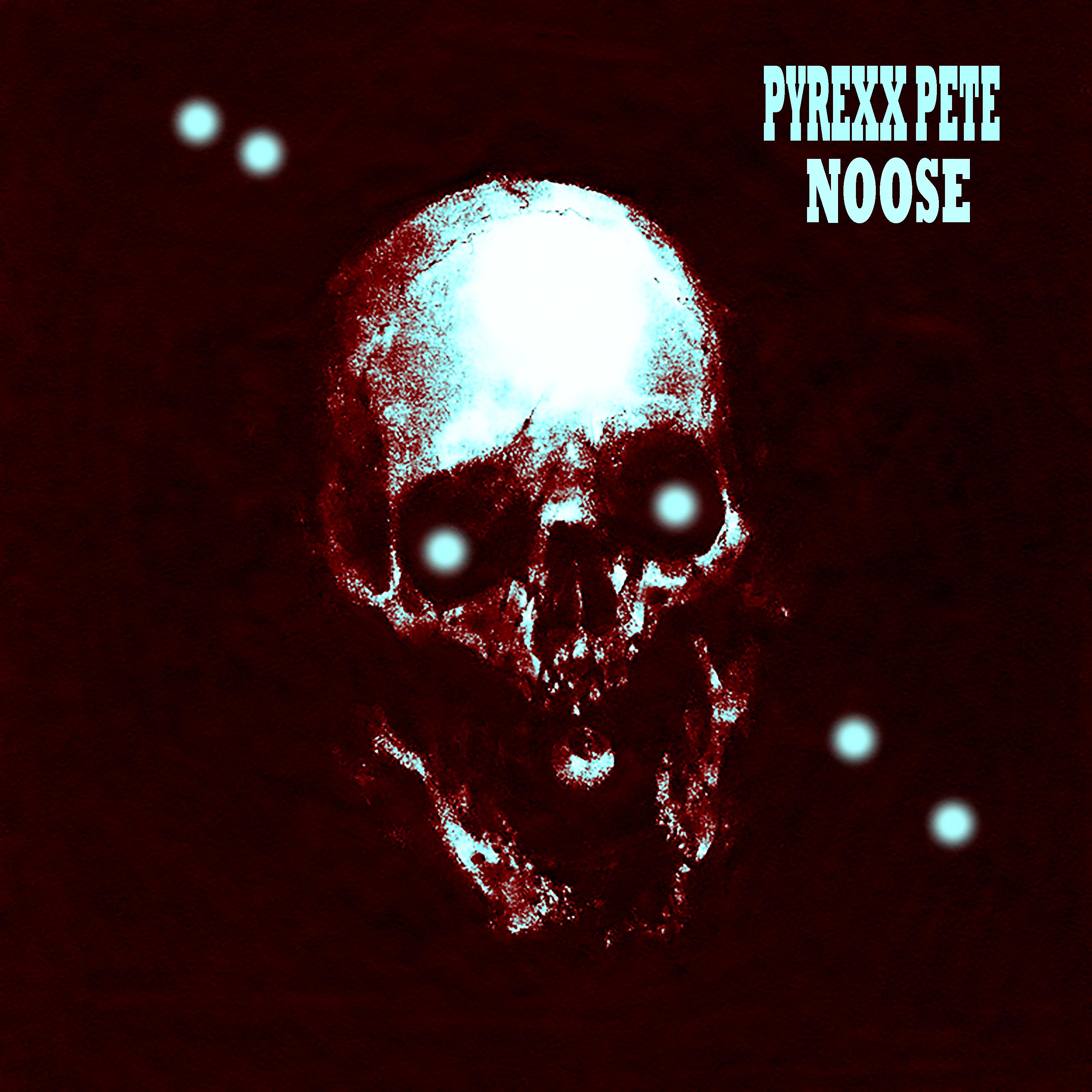 Постер альбома Noose