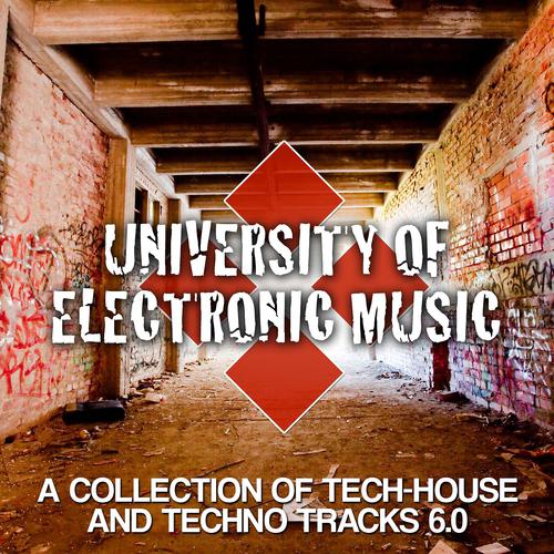 Постер альбома University of Electronic Music 6.0