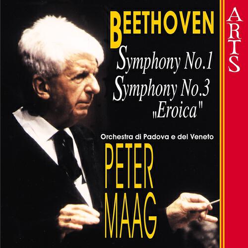 Orchestra Di Padova E Del Veneto - Symphony No. 1, Op. 21: II. Andante cantabile con moto