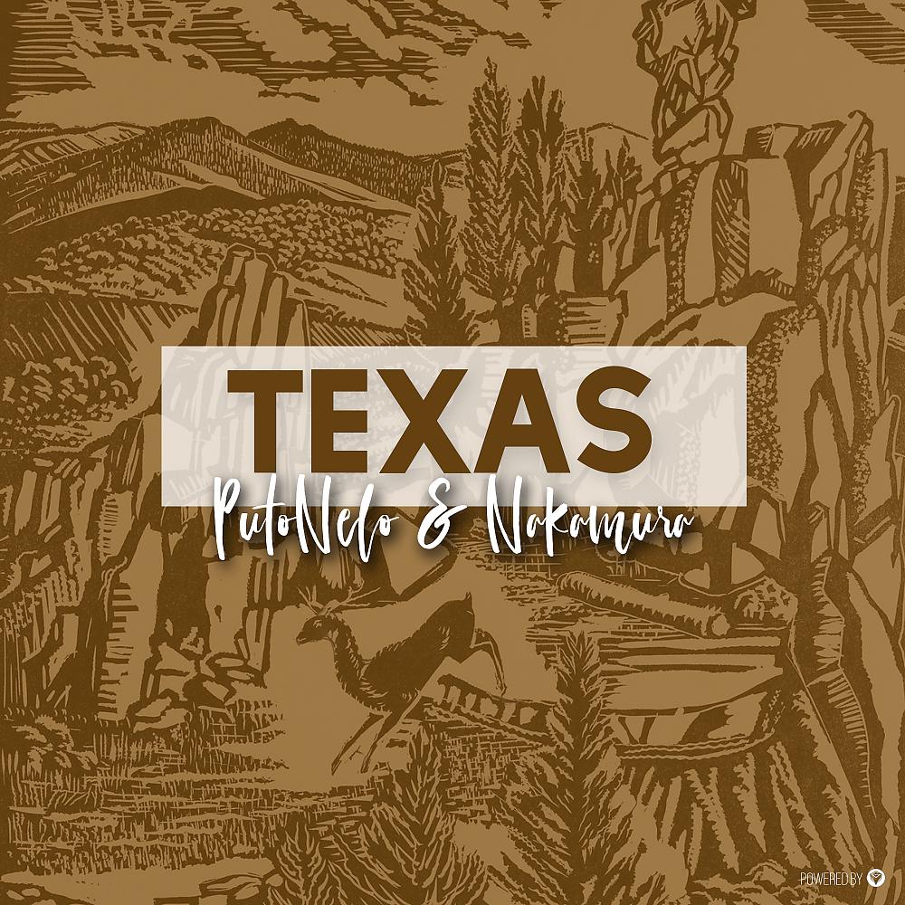 Постер альбома Texas