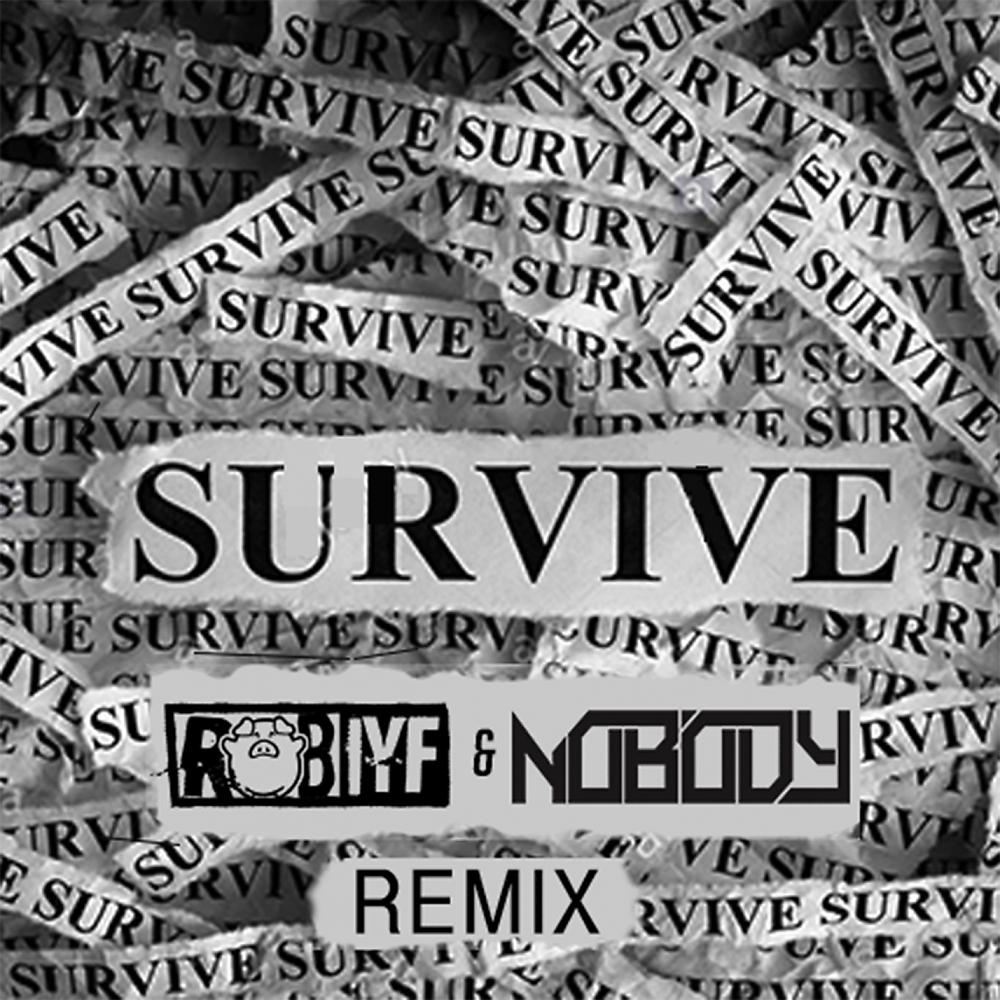 Постер альбома Survive (Rob IYF & Nobody Remix)