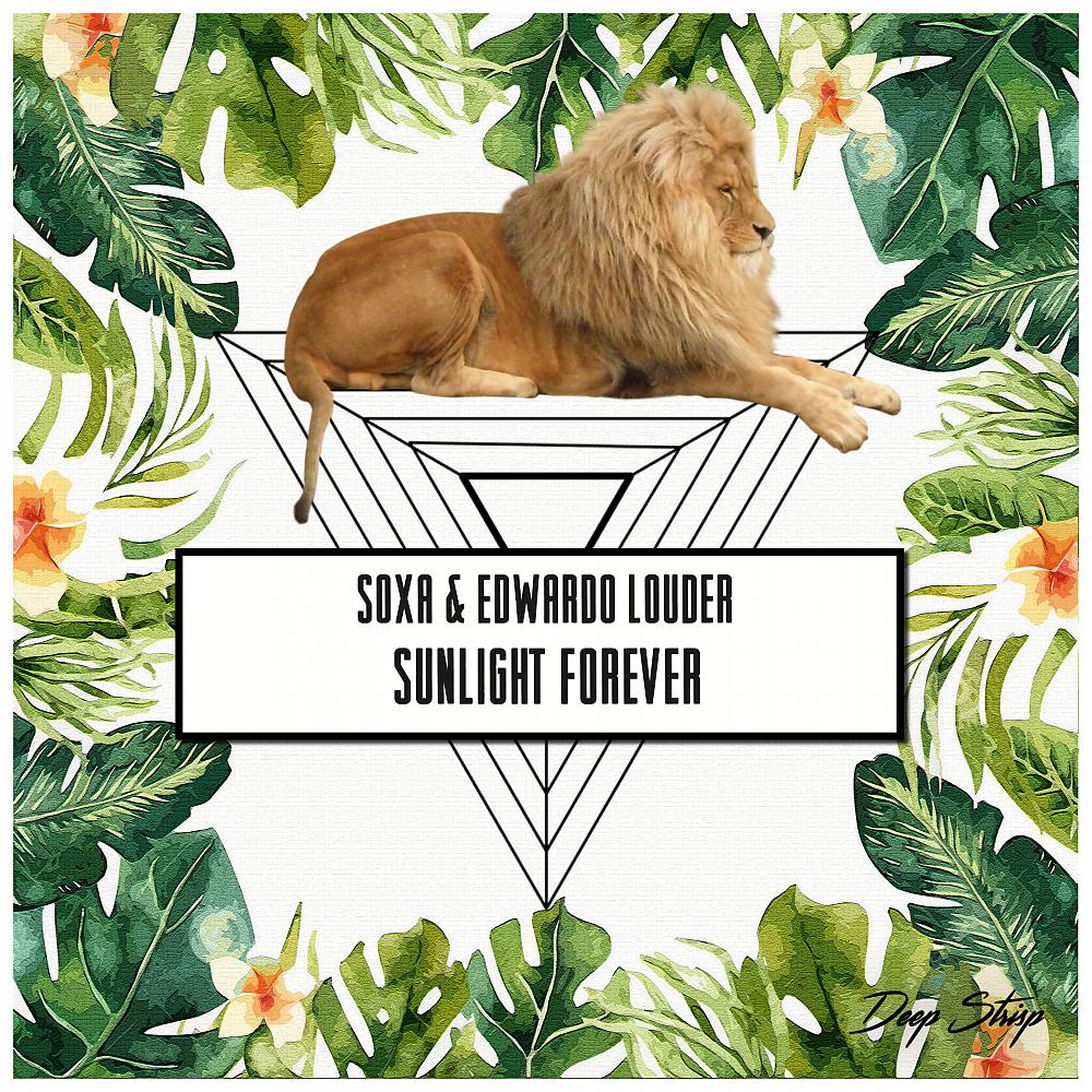 Постер альбома Sunlight Forever