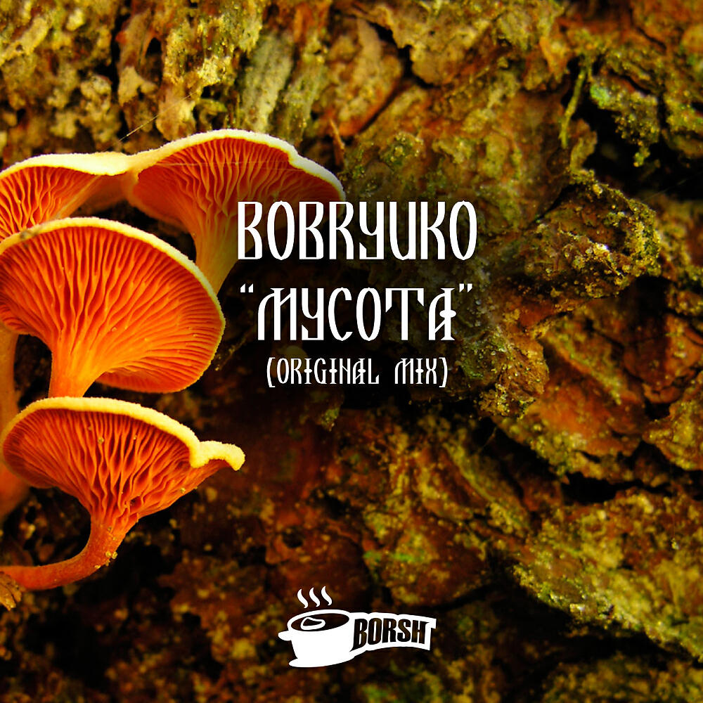 Bobryuko - Mycota (Original Mix)
