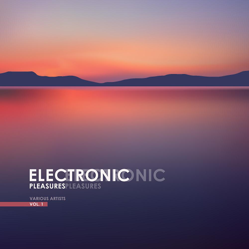 Постер альбома Electronic Pleasures, Vol. 1
