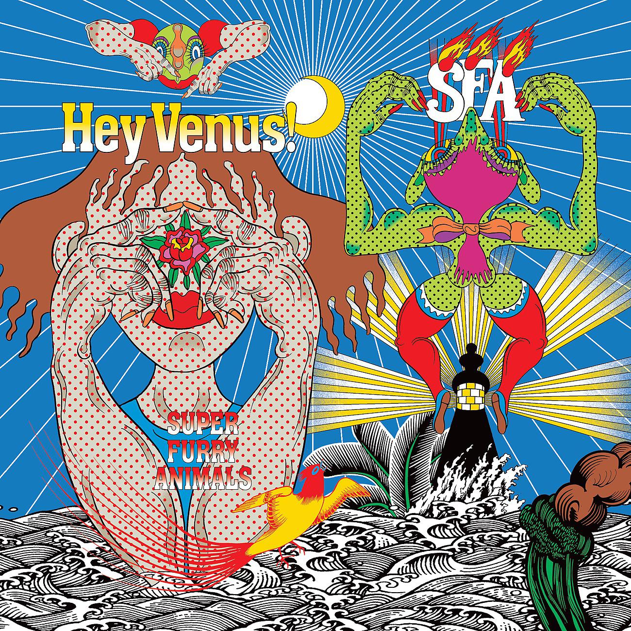 Постер альбома Hey Venus!