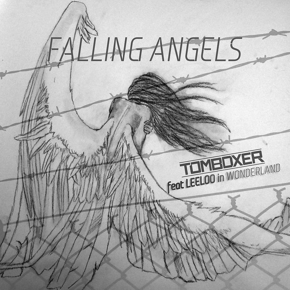 Постер альбома Falling Angels (Radio Mix)