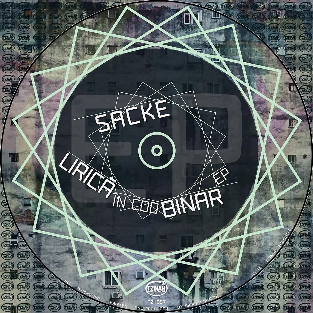 Постер альбома Lirica In Cod Binar EP