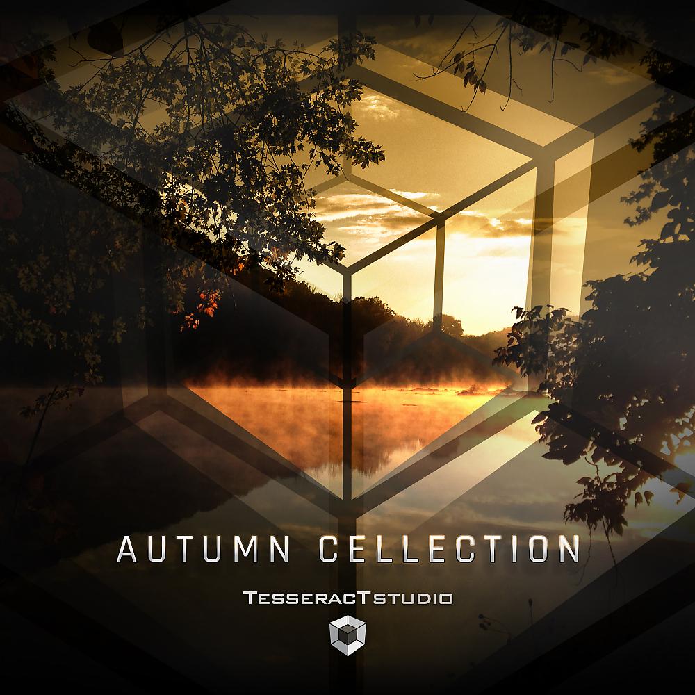 Постер альбома Autumn Cellection